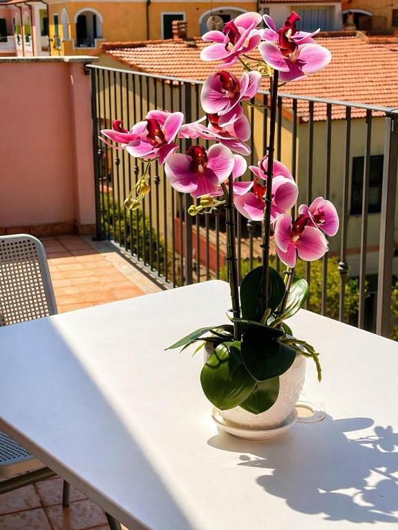 Il tavolo della terrazza, L'Attico Blu a Valledoria